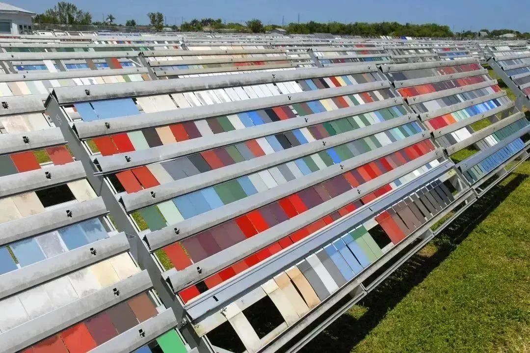 暴晒.jpg 暴晒.jpg